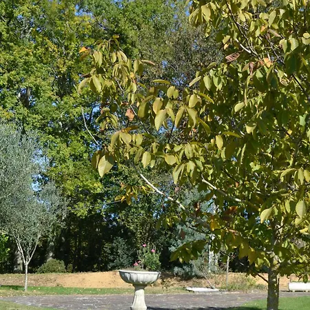Ty Green, Maison De Avec Piscine Partagée En Campagne Proche De Pau